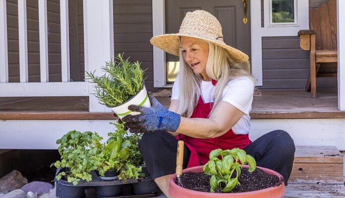 home gardeners home gardeners